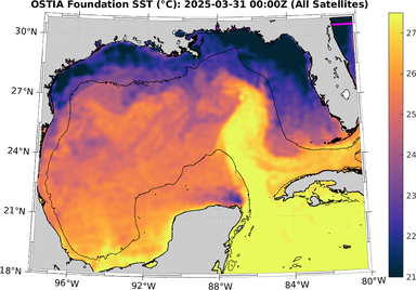 SST_20250331T0000Z.png