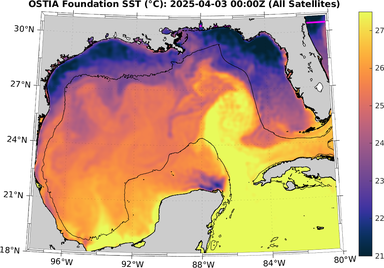 SST_20250403T0000Z.png