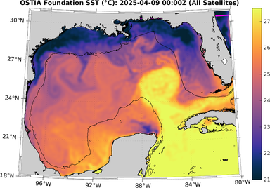 SST_20250409T0000Z.png