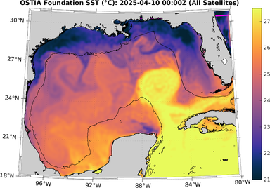 SST_20250410T0000Z.png