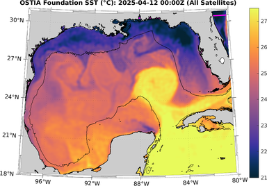 SST_20250412T0000Z.png