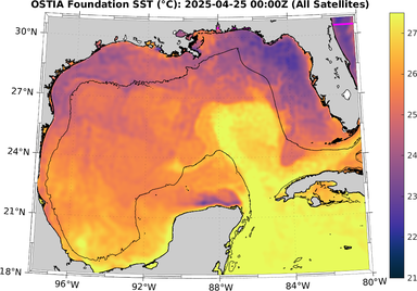 SST_20250425T0000Z.png