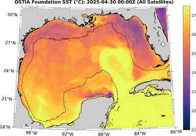 SST_20250430T0000Z.png