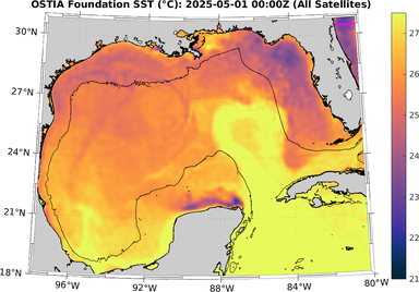 SST_20250501T0000Z.png