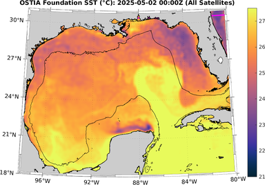 SST_20250502T0000Z.png