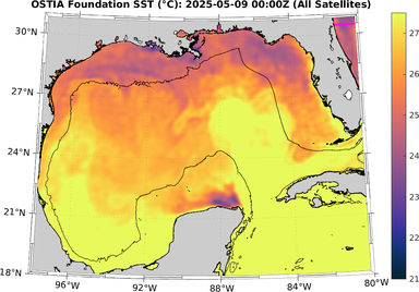 SST_20250509T0000Z.png