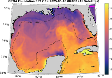 SST_20250510T0000Z.png