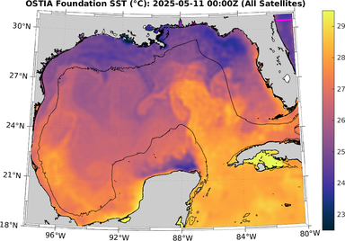 SST_20250511T0000Z.png