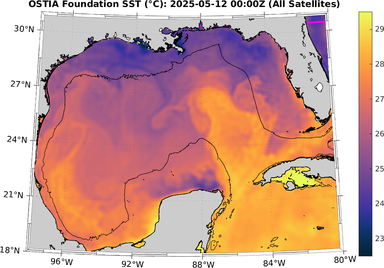 SST_20250512T0000Z.png