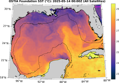 SST_20250514T0000Z.png
