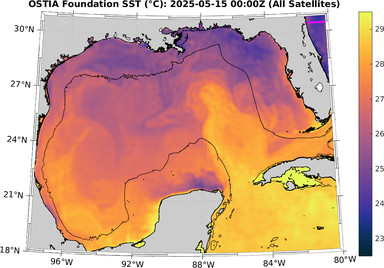 SST_20250515T0000Z.png
