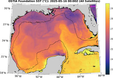 SST_20250516T0000Z.png