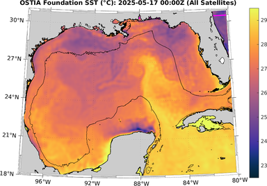 SST_20250517T0000Z.png