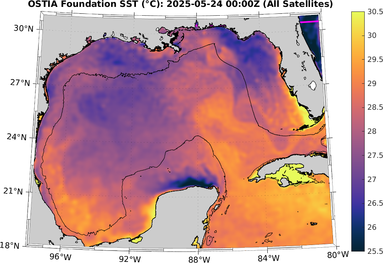 SST_20250524T0000Z.png