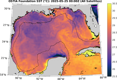 SST_20250525T0000Z.png
