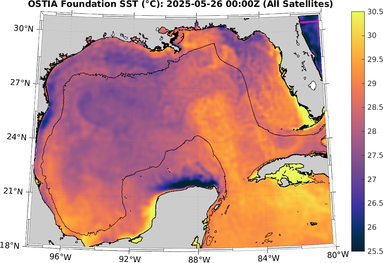 SST_20250526T0000Z.png