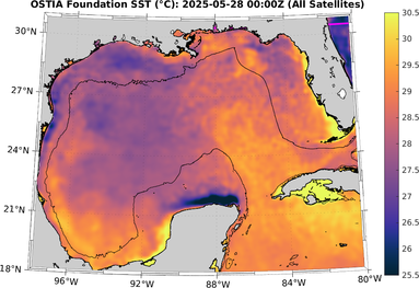 SST_20250528T0000Z.png