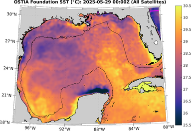 SST_20250529T0000Z.png