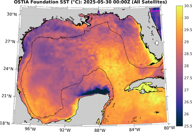 SST_20250530T0000Z.png