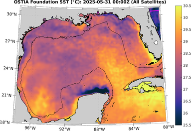 SST_20250531T0000Z.png