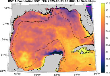 SST_20250601T0000Z.png