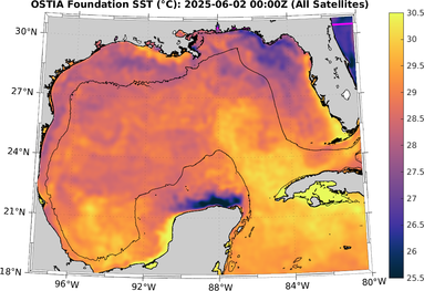 SST_20250602T0000Z.png