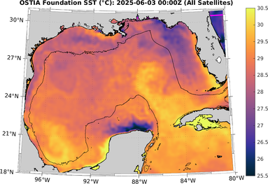 SST_20250603T0000Z.png