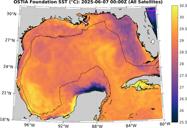 SST_20250607T0000Z.png