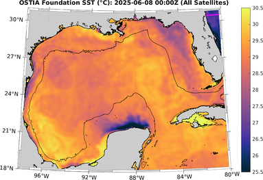 SST_20250608T0000Z.png