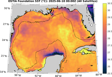SST_20250610T0000Z.png
