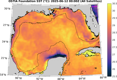 SST_20250612T0000Z.png