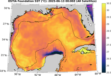 SST_20250613T0000Z.png