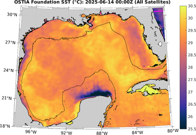 SST_20250614T0000Z.png