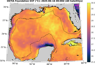 SST_20250616T0000Z.png