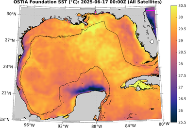 SST_20250617T0000Z.png