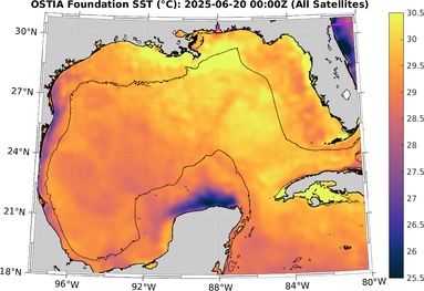 SST_20250620T0000Z.png