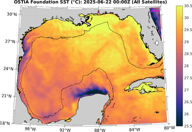 SST_20250622T0000Z.png