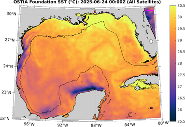 SST_20250624T0000Z.png
