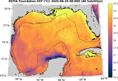 SST_20250625T0000Z.png