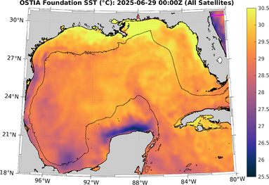 SST_20250629T0000Z.png