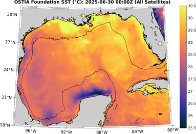 SST_20250630T0000Z.png