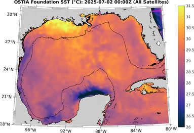 SST_20250702T0000Z.png