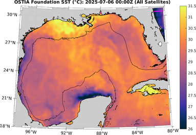 SST_20250706T0000Z.png