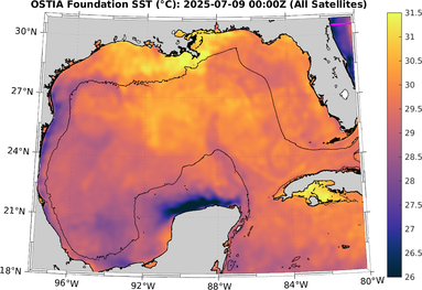 SST_20250709T0000Z.png