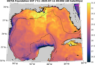 SST_20250711T0000Z.png