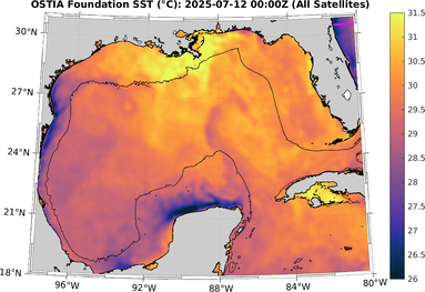 SST_20250712T0000Z.png