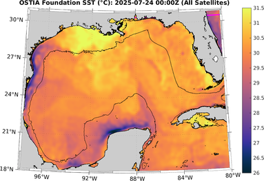 SST_20250724T0000Z.png