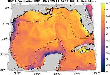 SST_20250726T0000Z.png