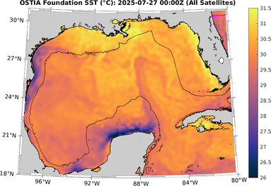 SST_20250727T0000Z.png