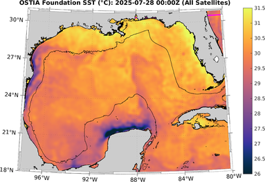 SST_20250728T0000Z.png